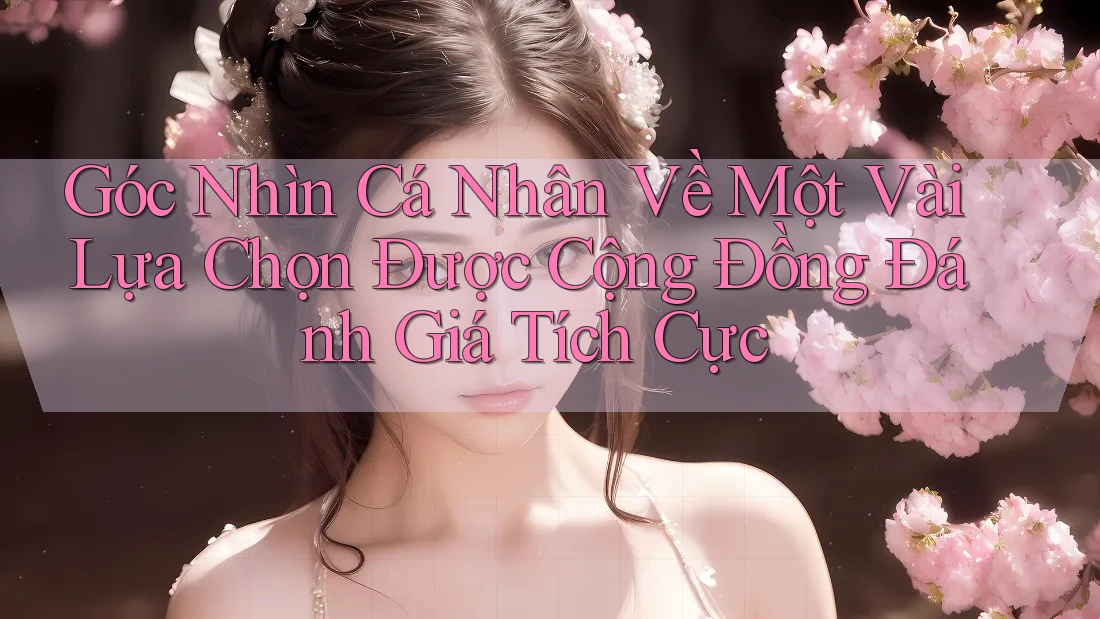 Góc Nhìn Cá Nhân Về Một Vài Lựa Chọn Được Cộng Đồng Đánh Giá Tích Cực Góc Nhìn Cá Nhân Về Một Vài Lựa Chọn Được Cộng Đồng Đánh Giá Tích Cực