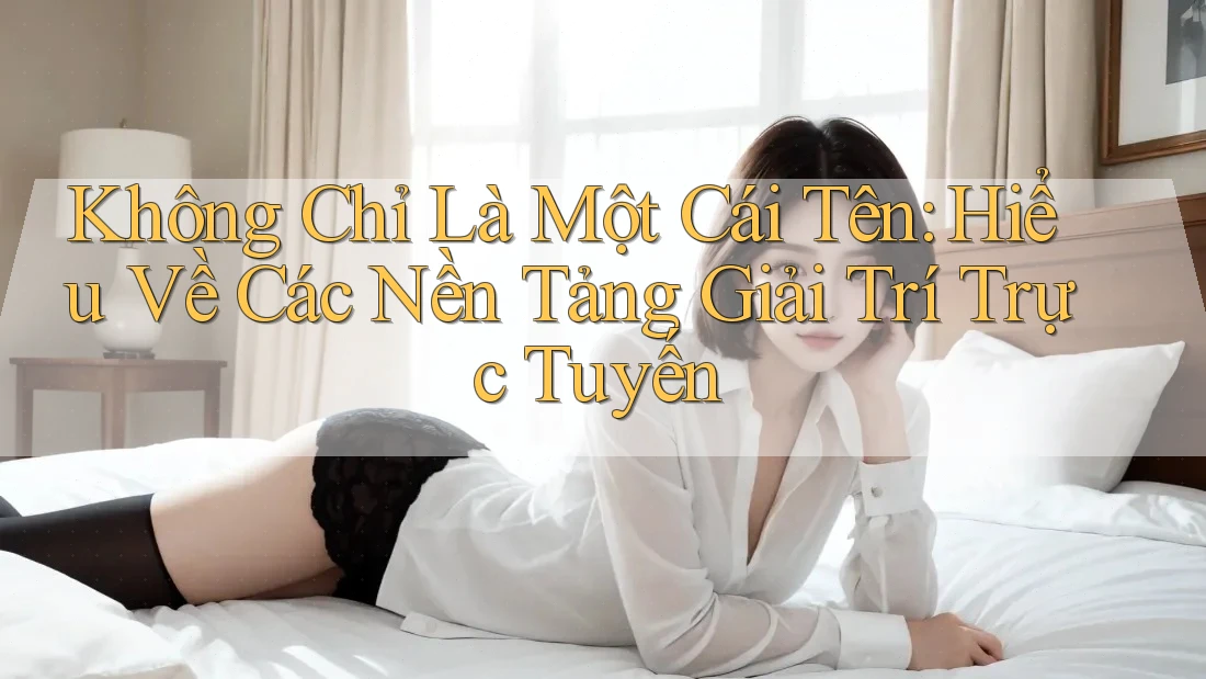 Không Chỉ Là Một Cái Tên: Hiểu Về Các Nền Tảng Giải Trí Trực Tuyến Không Chỉ Là Một Cái Tên: Hiểu Về Các Nền Tảng Giải Trí Trực Tuyến