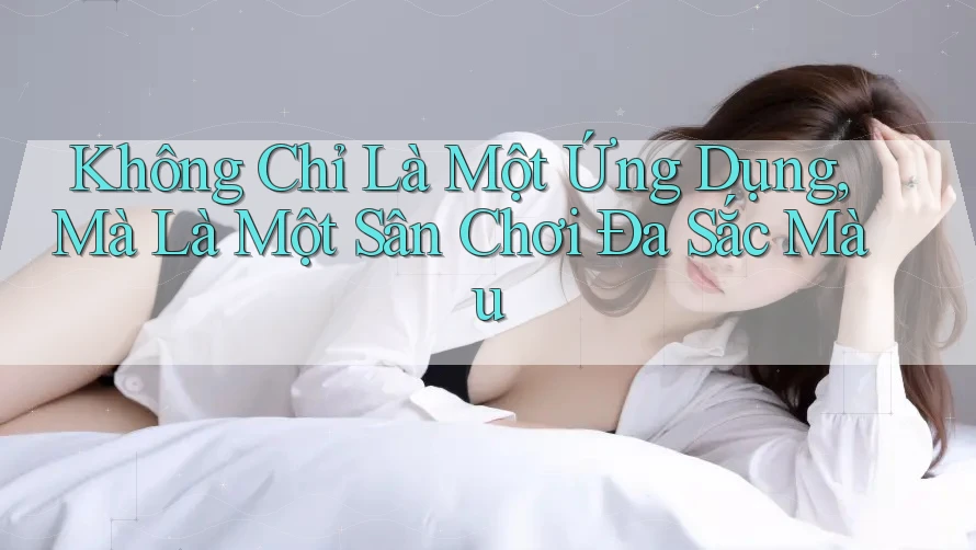 Không Chỉ Là Một Ứng Dụng, Mà Là Một Sân Chơi Đa Sắc Màu Không Chỉ Là Một Ứng Dụng, Mà Là Một Sân Chơi Đa Sắc Màu