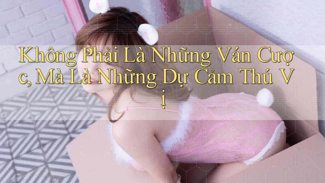 Không Phải Là Những Ván Cược, Mà Là Những Dự Cảm Thú Vị Không Phải Là Những Ván Cược, Mà Là Những Dự Cảm Thú Vị