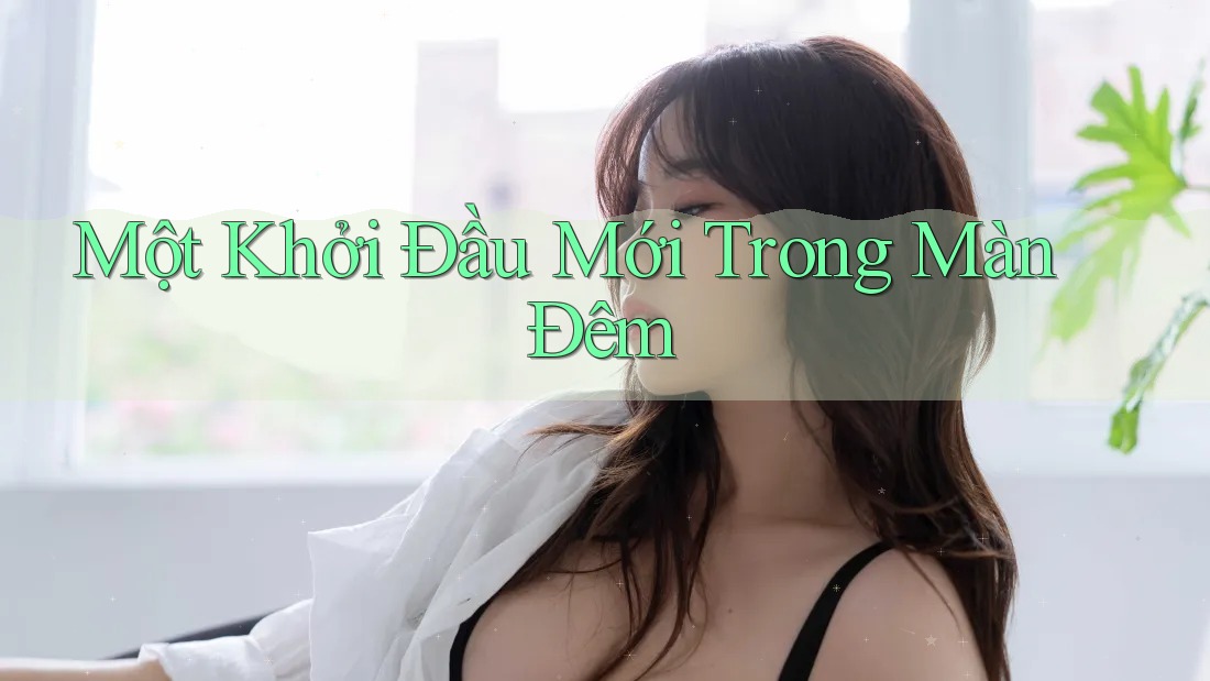 Một Khởi Đầu Mới Trong Màn Đêm Một Khởi Đầu Mới Trong Màn Đêm