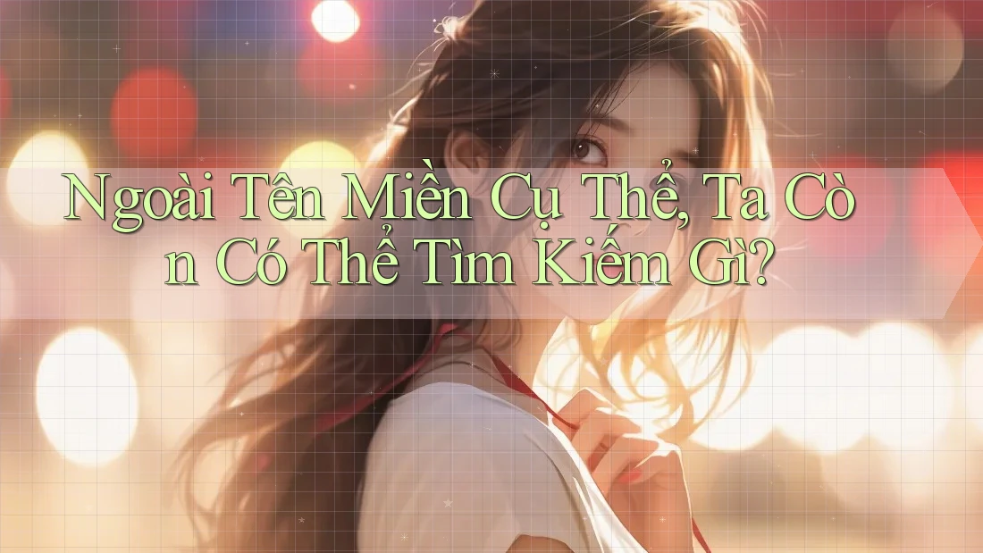 Ngoài Tên Miền Cụ Thể, Ta Còn Có Thể Tìm Kiếm Gì? Ngoài Tên Miền Cụ Thể, Ta Còn Có Thể Tìm Kiếm Gì?