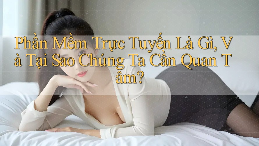 Phần Mềm Trực Tuyến Là Gì, Và Tại Sao Chúng Ta Cần Quan Tâm?