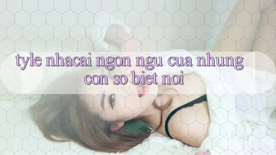 “Tyle Nhacai” – Ngôn Ngữ Của Những Con Số Biết Nói